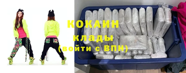 ПСИЛОЦИБИНОВЫЕ ГРИБЫ Коряжма