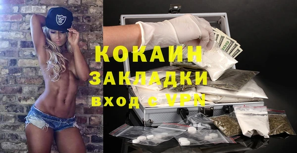ПСИЛОЦИБИНОВЫЕ ГРИБЫ Коряжма