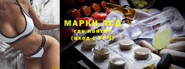 ПСИЛОЦИБИНОВЫЕ ГРИБЫ Коряжма