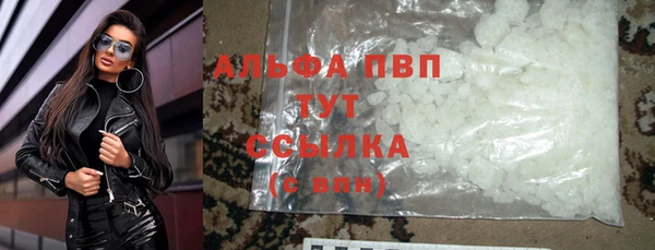 ПСИЛОЦИБИНОВЫЕ ГРИБЫ Коряжма