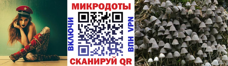 Галлюциногенные грибы Psilocybe  Купить  Дятьково 